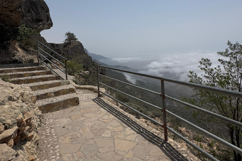 East Salalah Guided: Wadi Darbat & The ancient Baobab Tree