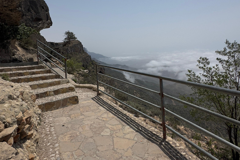 East Salalah Guided: Wadi Darbat & The ancient Baobab Tree