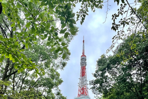 Tokio: Prywatna wycieczka z przewodnikiem z opcjonalną wycieczką nocną / barową