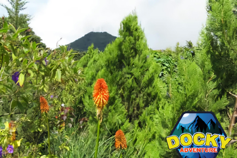 San Salvador : Randonnée au volcan El Boqueron avec guide