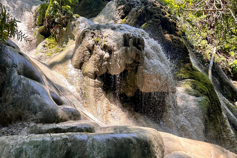 Chiang Mai Sticky Waterfall & Dantewada with Hotel Transfer