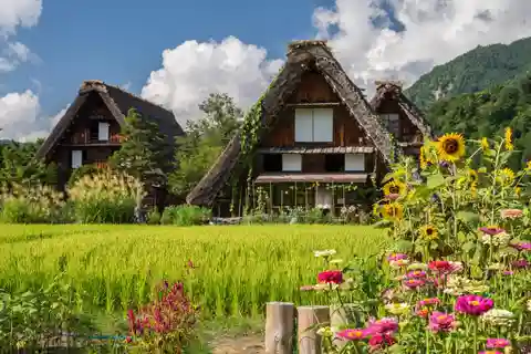 Nagoya: Shirakawa-go, Gujo, Hida Takayama Historic Day Tour