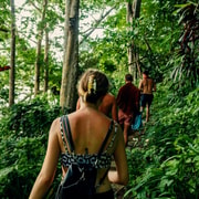 Khao Sok: Private Waterfalls and Wildlife Half-Day Trek