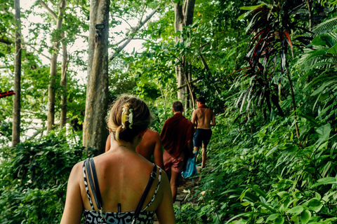 Khao Lak: Safari privado na selva de Khao Sok com rafting em bambu