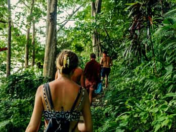 Khao Sok: Private Halbtagestour zu Wasserfällen und Wildtieren