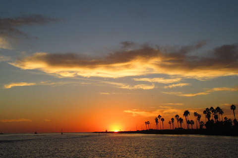 San Diego: Delphin- und Whale-Watching-Bootsfahrt bei Sonnenuntergang