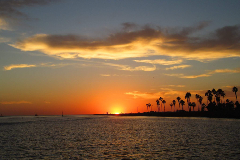 San Diego: Delphin- und Whale-Watching-Bootsfahrt bei Sonnenuntergang