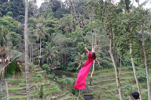 Bali: 12 uur overal naartoe Hoogtepunten van het eiland Bali