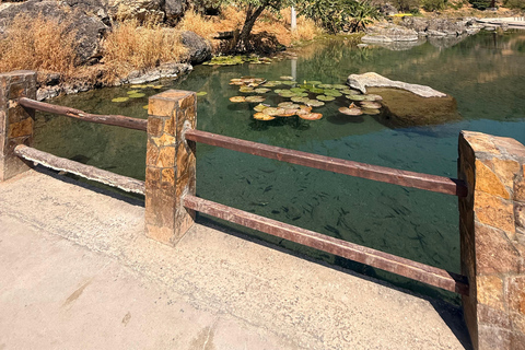 Salalah: West Side Private Tour with Off-Road Adventure