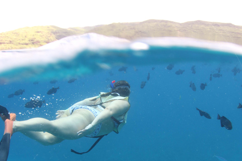 Oahu: Snorkeling & Dolphin Watch Cruise with Hawaiian Buffet Private: All-Inclusive Sunset Snorkel Cruise with Hot Buffet