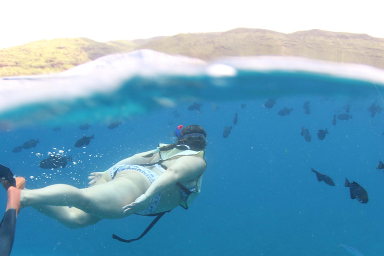 Oahu: Snorkeling & Dolphin Watch Cruise with Hawaiian Buffet Private: All-Inclusive Sunset Snorkel Cruise with Hot Buffet