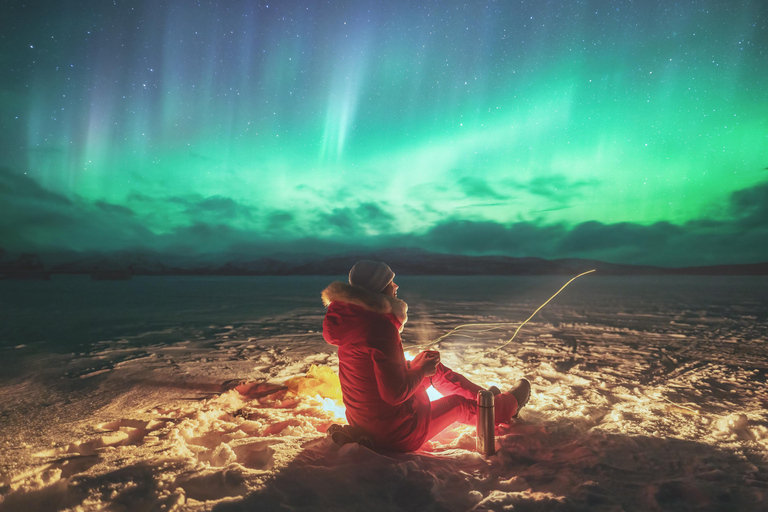 Abisko : Tour de photographie des aurores boréales avec dîner