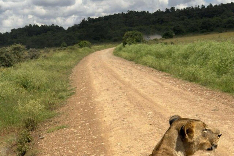 Nairobi: National Park Half-Day Safari with Hotel Pick-Up