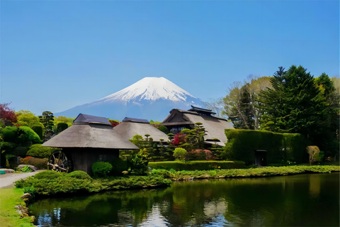 Tokio: Instagram-würdige Tagestour zum Berg Fuji und zum Kawaguchiko-See