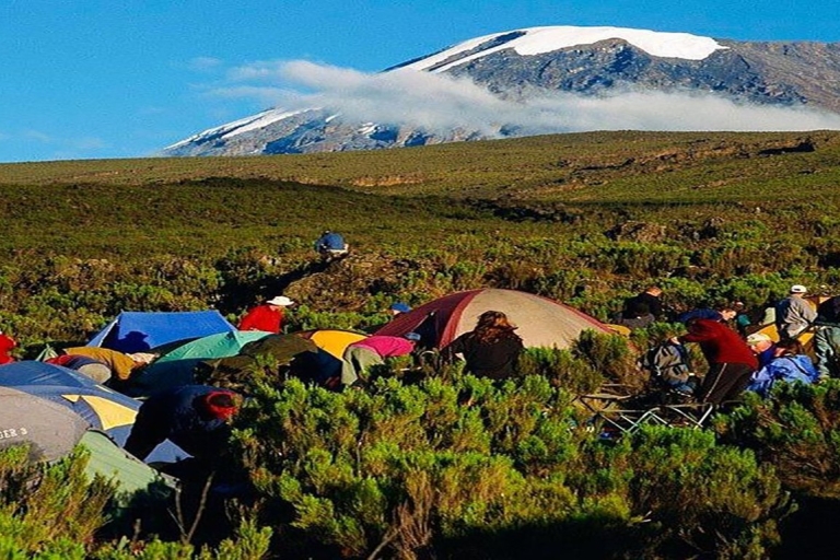 7 jours d'ascension du Kilimandjaro par la route Machame