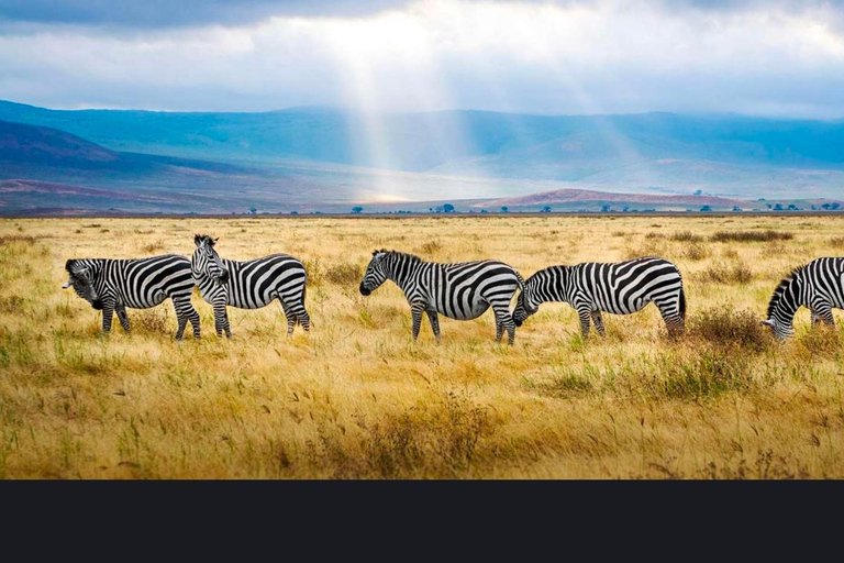 Addis Abeba: wycieczka do kościoła Chebera Churchura i Parku Narodowego MazeAddis Abeba: Wycieczka do kościoła Chebera Churchura i Parku Narodowego Maze