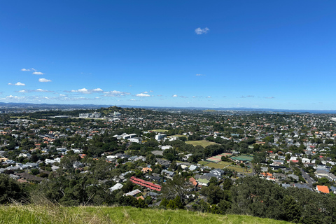 Auckland City Top Spots Half Day Private Tour