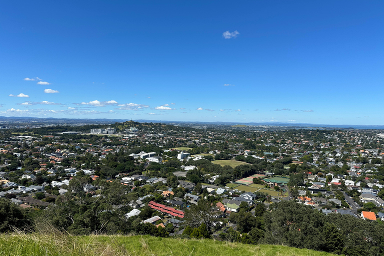 Auckland City Top Spots Half Day Tour(Small Group Tour)