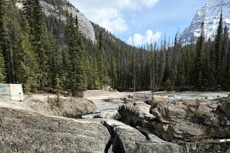 路易斯湖、翡翠湖、大理石峡谷、班夫镇班夫：路易斯湖、翡翠湖与约翰斯顿峡谷一日游