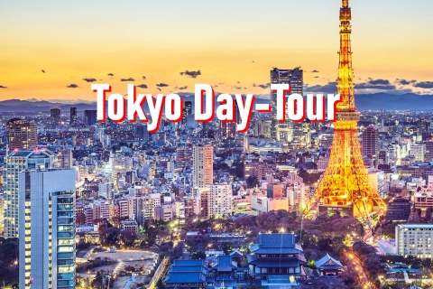 Tokio: 10-godzinna konfigurowalna prywatna wycieczka z transferem do hoteluTokio: 10-godzinna konfigurowalna wycieczka z kierowcą i przewodnikiem