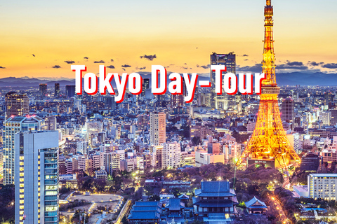 Tokyo : 10 heures de visite privée personnalisable avec transfert à l'hôtelTokyo : 10 heures de visite personnalisable avec chauffeur et guide