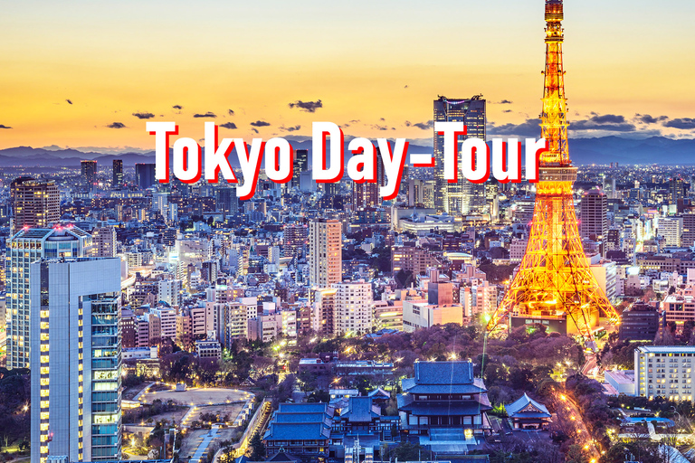 Tokyo : 10 heures de visite privée personnalisable avec transfert à l'hôtelTokyo : 10 heures de visite personnalisable avec chauffeur et guide