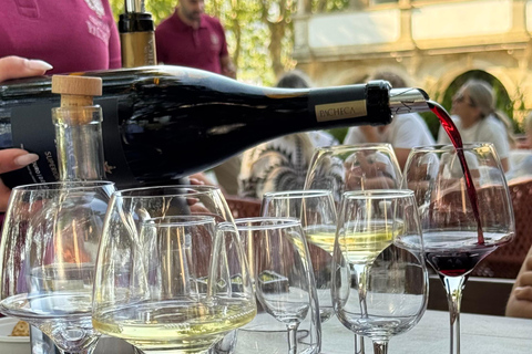 Porto: Douro Valley Train Tour, Cruise, Wine & Lunch