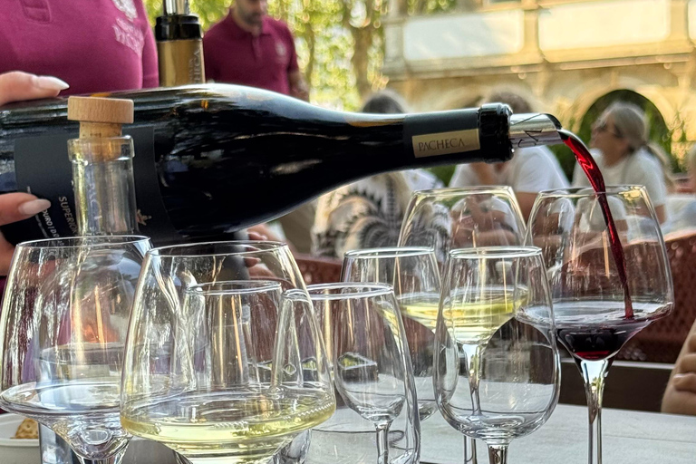 Porto: Douro Valley Train Tour, Cruise, Wine & Lunch