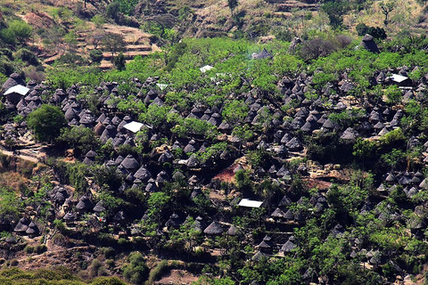 Addis Abeba: 15-tägige Äthiopien-Tour mit Flügen &amp; Hotels