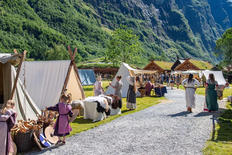 Bergen: Viking Village, Nærøyfjord & Flåm Day Trip