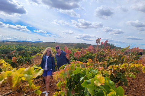 Tour semi-privato di La Rioja con 3 cantine di qualità da Bilbao