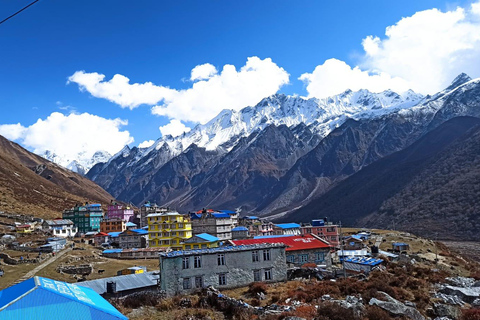 Vanuit Kathmandu: 5 Daagse Langtang Vallei Natuurverkenningstocht