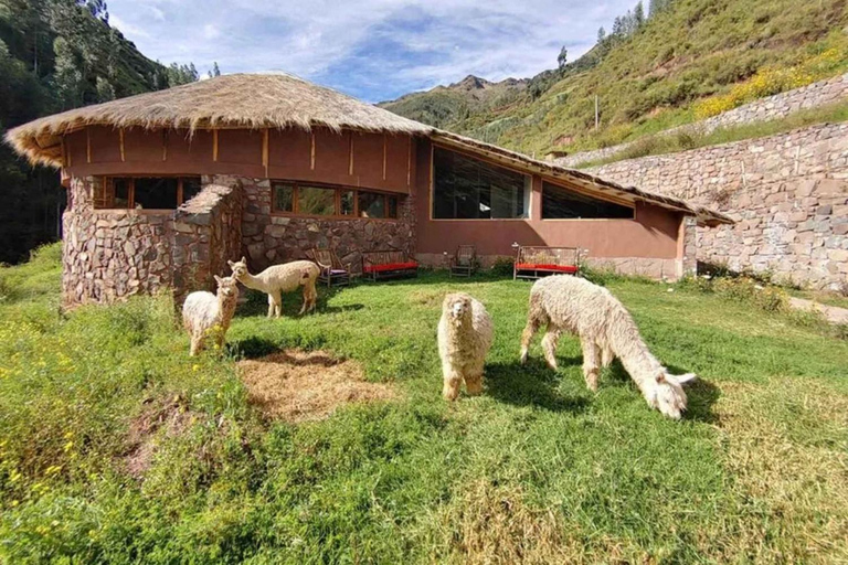 Seven Day Ayahuasca Retreat in Cusco - shared private
