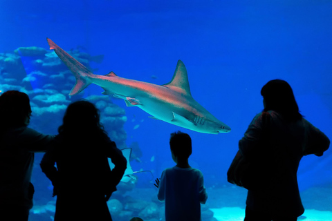 Antalya: Aquarium and Wax Museum Entry Ticket