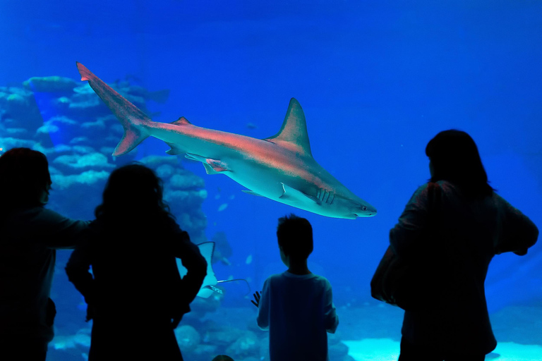 Antalya: Ticket de entrada al Acuario y al Museo de Cera