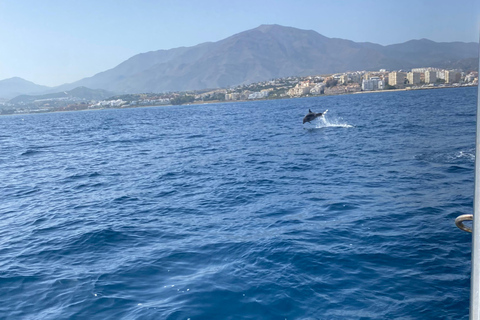 Estepona: Dolphins Searching Sea Cruise with Drink & Snacks Group Cruise