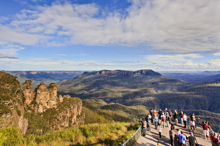 Blue Mountains: Mundo cênico, balsa, zoológico e foto de coala