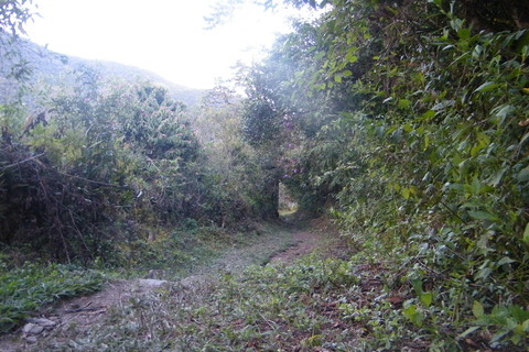 تشورو تريك مغامرة مثيرةتشورو تريك، مغامرة مثيرة