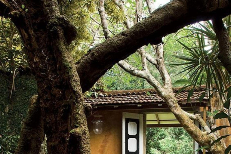 Colombo: Galle Fort, River Safari, and Coast Day Trip From Colombo, Negombo and kaluthara to Galle Fort