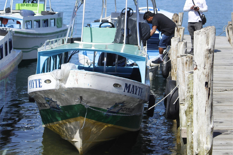 De Cartagena: Traslado particular de ida para Isla Grande