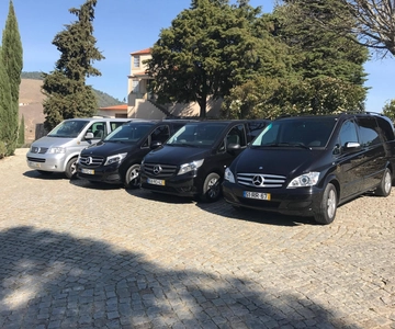 From Porto: Premium Douro Valley Small-Group Wine Tour