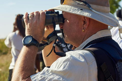 Arusha: 2-Day Tarangire & Lake Manyara Tanzania Safari Arusha: Private Day Trip to Tarangire National Park