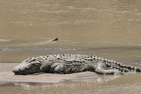 3-Day Masai Mara with Spanish, Italian or French Guide