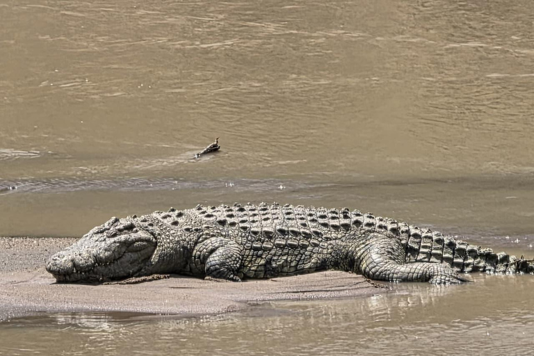 3-Day Masai Mara with Spanish, Italian or French Guide