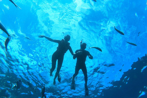 Tenerife: Kayak and Snorkeling Tour with Marine Life
