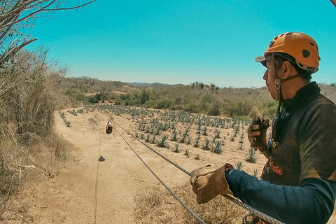 MAZATLAN: ZIP-LINE VID HUANACOA, TEQUILA-TUR OCH TESTNING