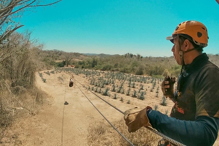 MAZATLAN : TYROLIENNE À HUANACOA, VISITE DE LA TEQUILA ET TESTS