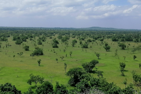 Accra: Halbtägige Privatsafari mit Abholung