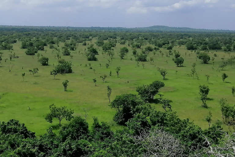 Accra: Safari privado de medio día con recogida