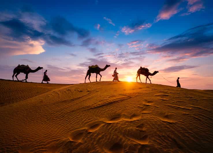 Depuis Agadir : visite privée de 4 jours à Marrakech via le désert de Merzouga - dromadaire